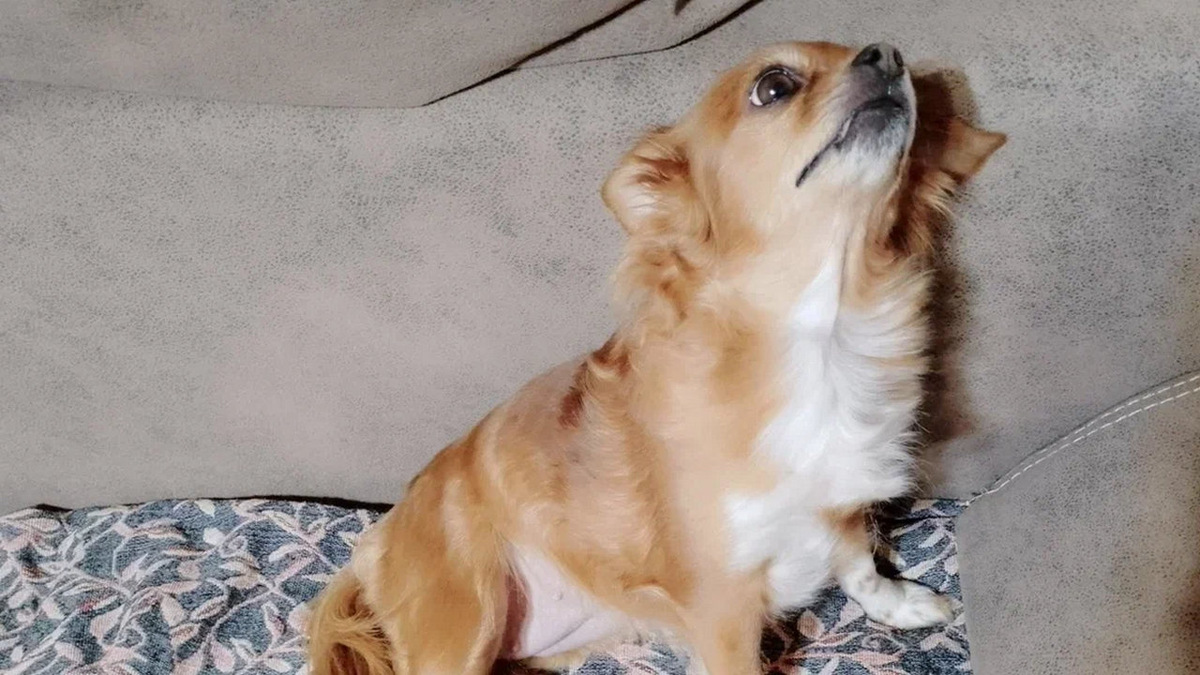 Когда стало чуть легче.