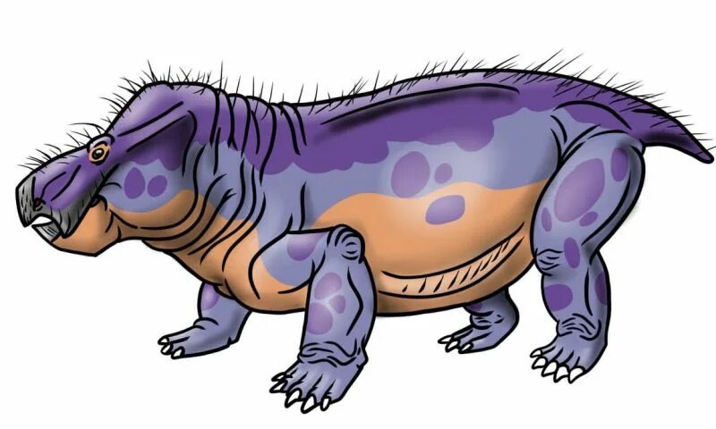 Мультяшная версия данной иллюстрации.