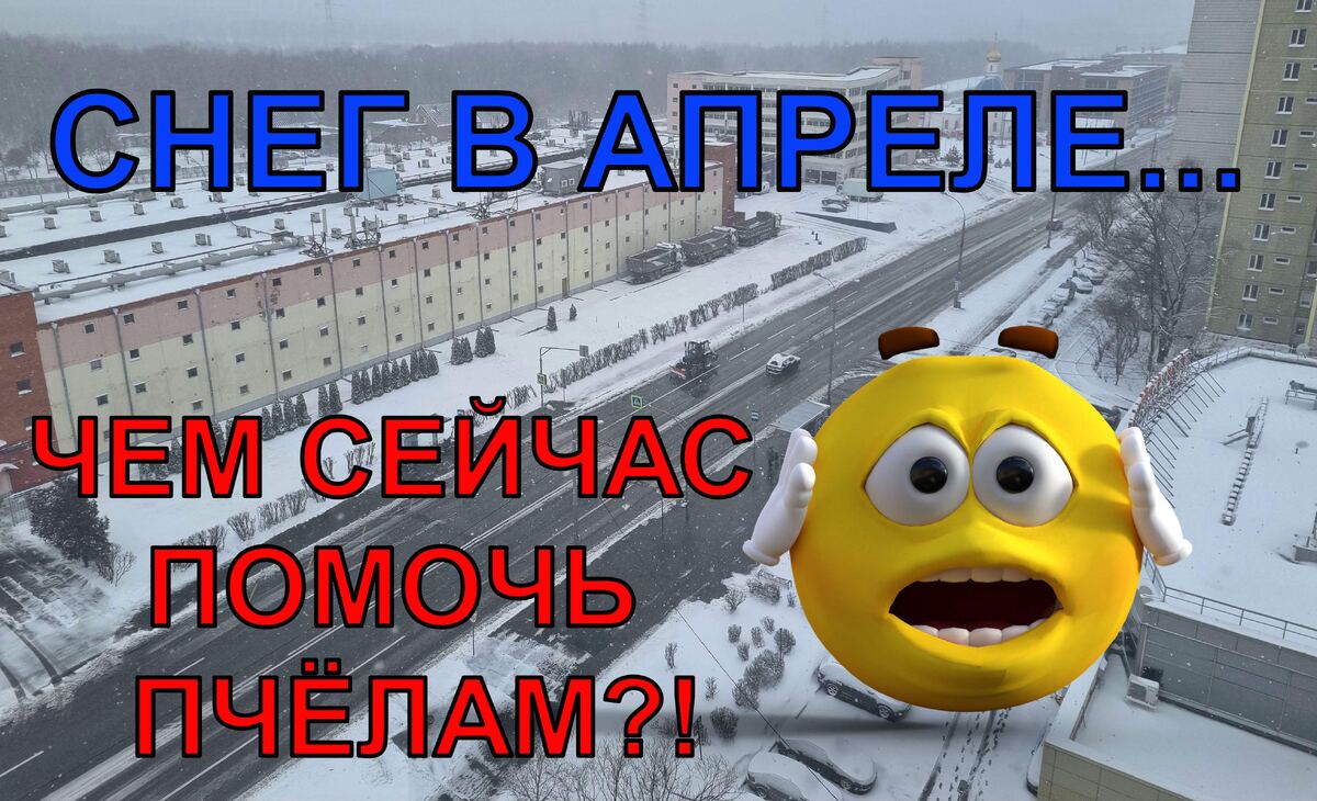 Пчеловодство для начинающих