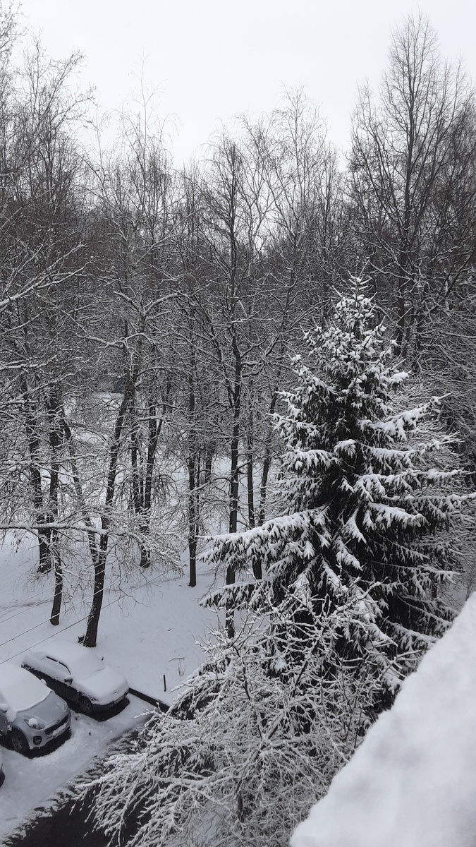 Вид за окном.