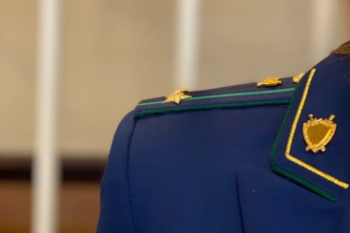    Прокуратура и СК показали место тройного убийства в деревне в Ленобласти