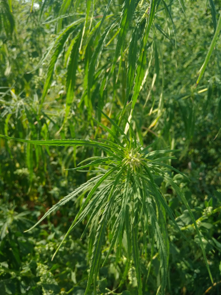 Фото автора статьи 