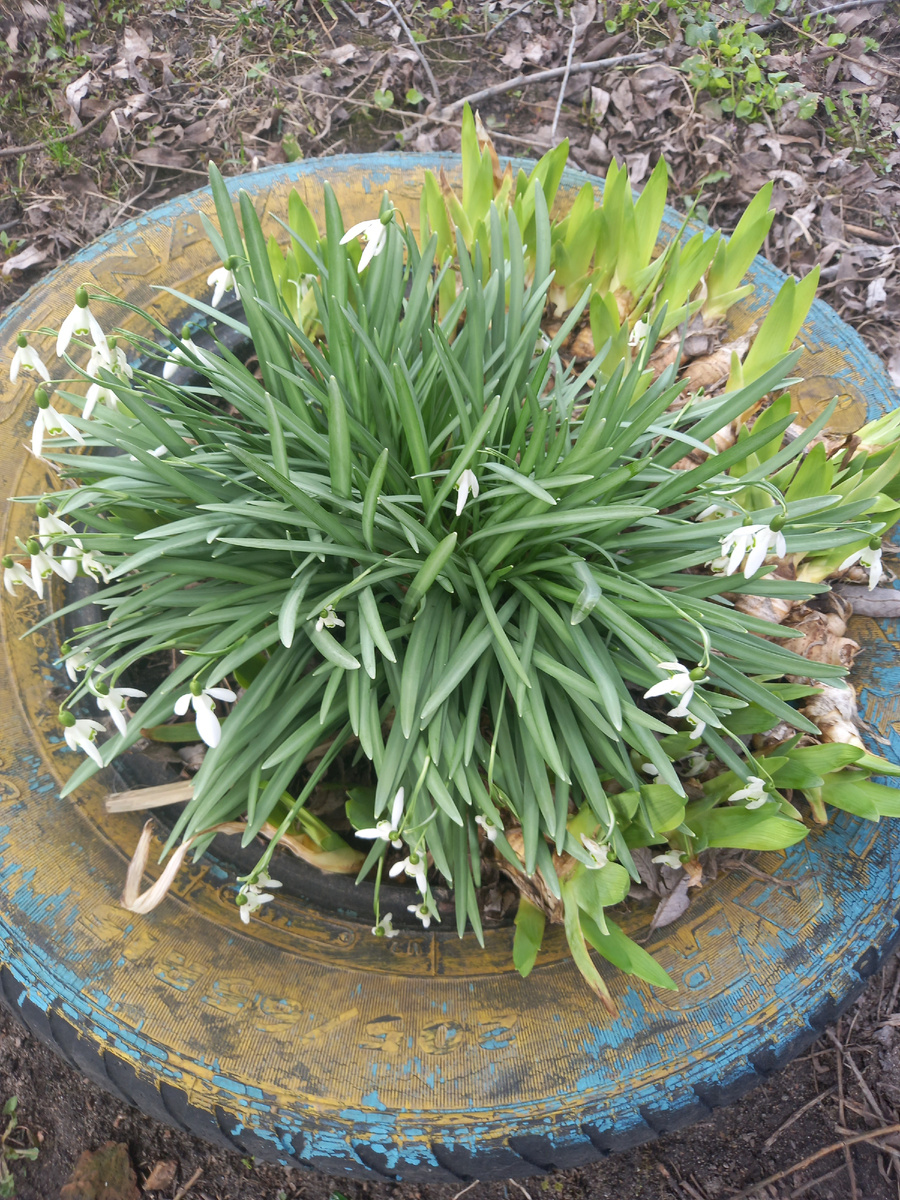 Фото автора канала