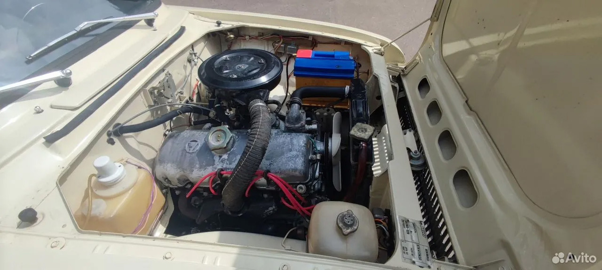 Фото: Avito  📷
