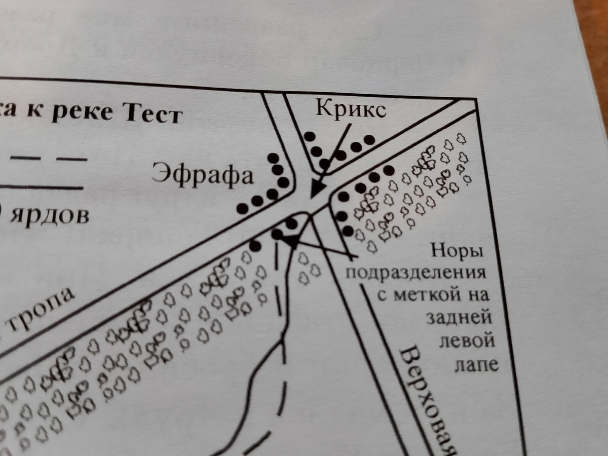 Эфрафа на карте побега Шишака