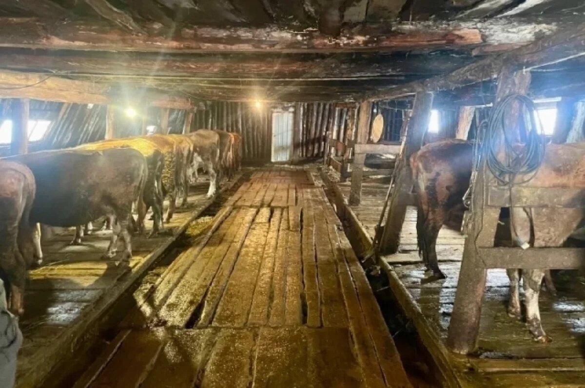    После удерживания мужчин на ферме в Якутии завели уголовное дело