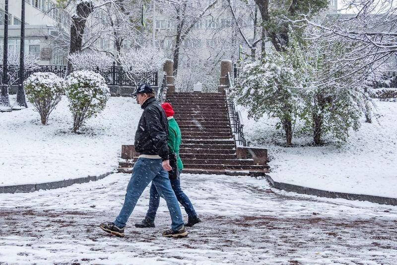     / Источник: © ИЗВЕСТИЯ/Константин Кокошкин