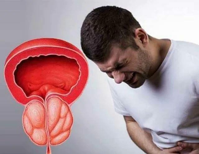 Фото: cdn.009.рф