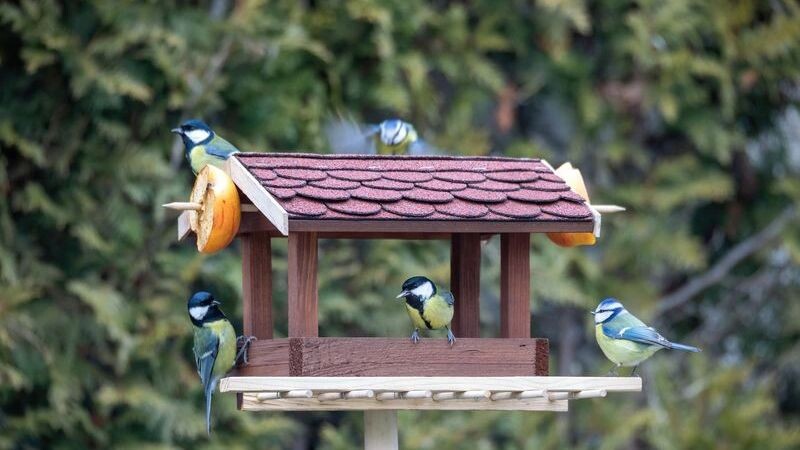    Фото: Artush/Shutterstock/Fotodom