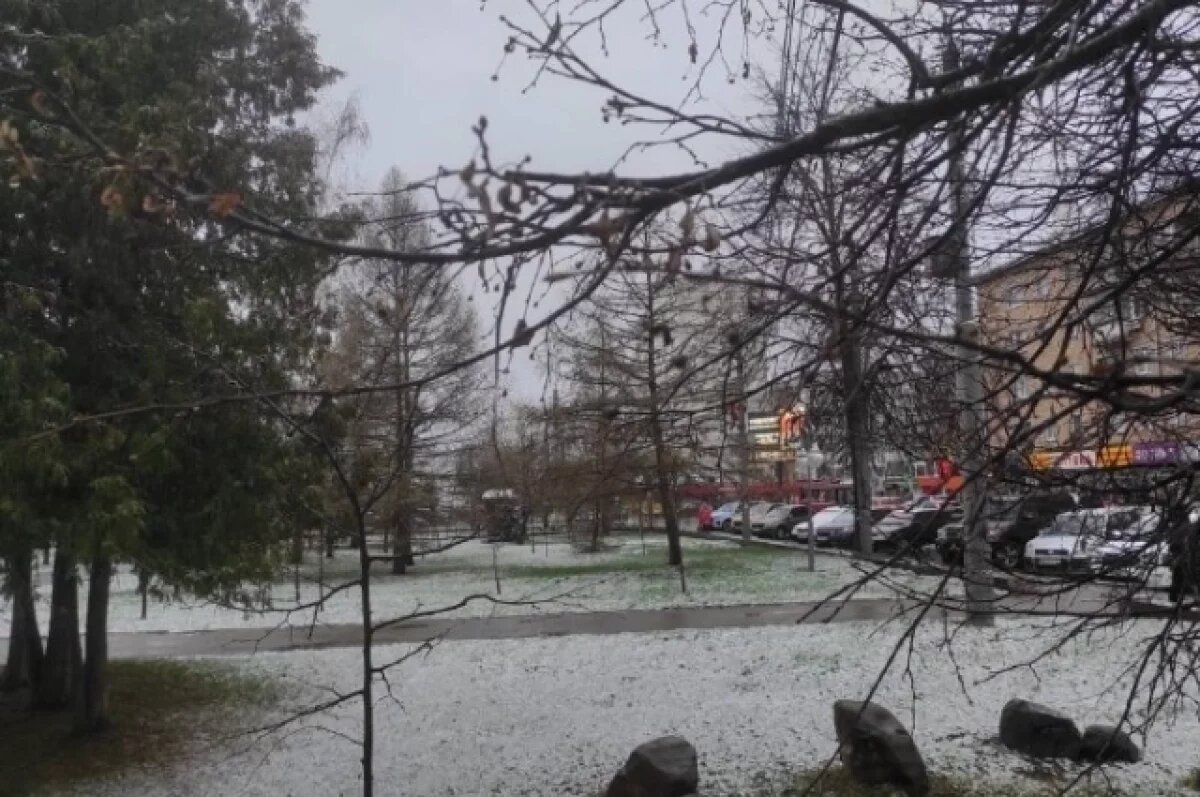    Небесная канцелярия переиграла погоду для туляков с «февраля» на «ноябрь»