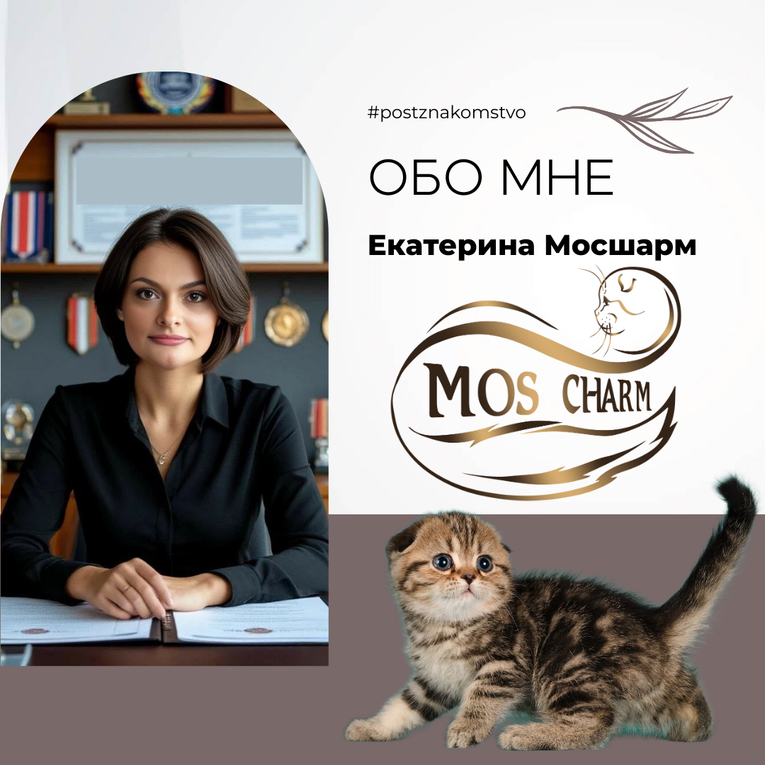 Заводчик питомника Mos Charm - воплощение страсти к своему делу и любви к животным, готовый поделиться знаниями и опытом с каждым, кто хочет стать счастливым обладателем шотландского котенка.