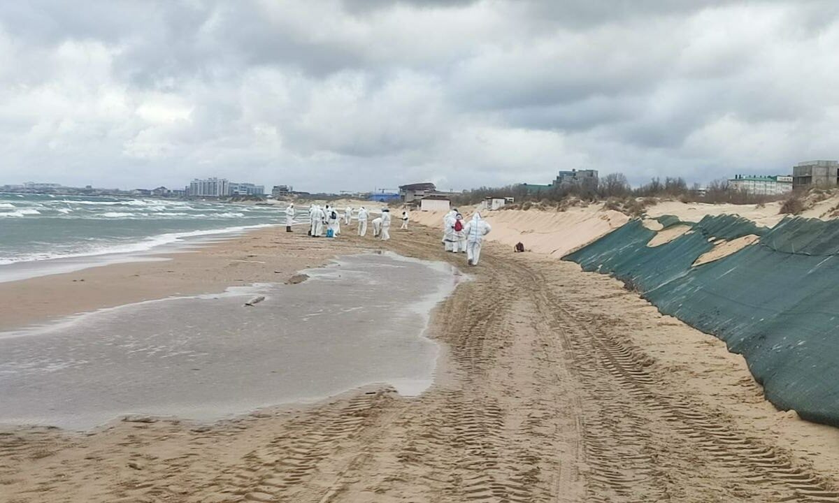    Фото t.me/opershtab23