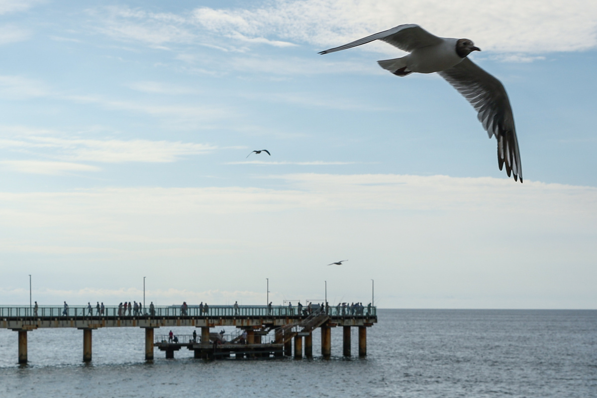 Фото: Сергей Петров/Globallookpress. 