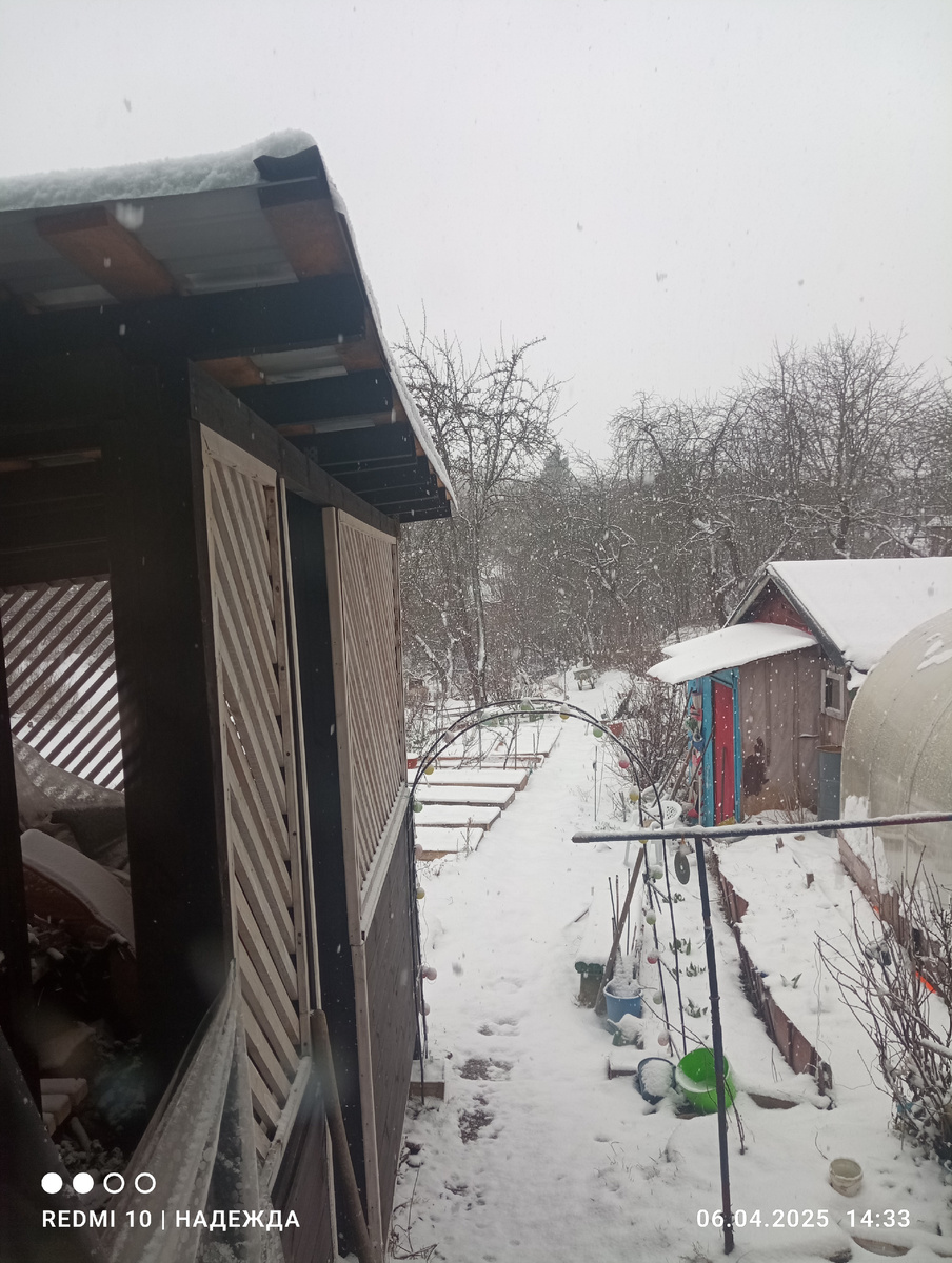 Уже отвыкла от такого пейзажа