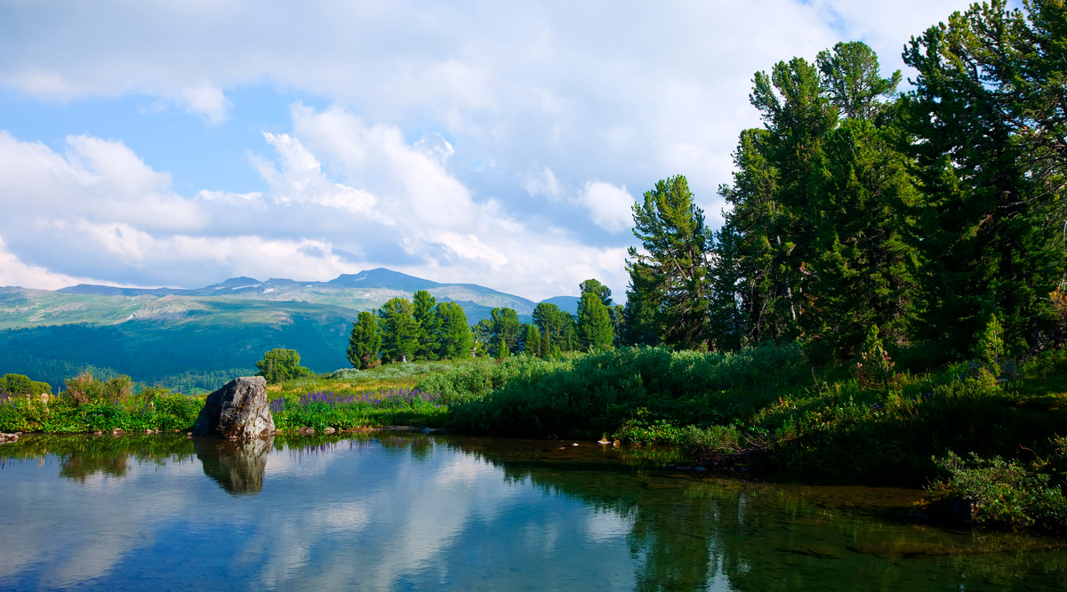 Природа Алтая