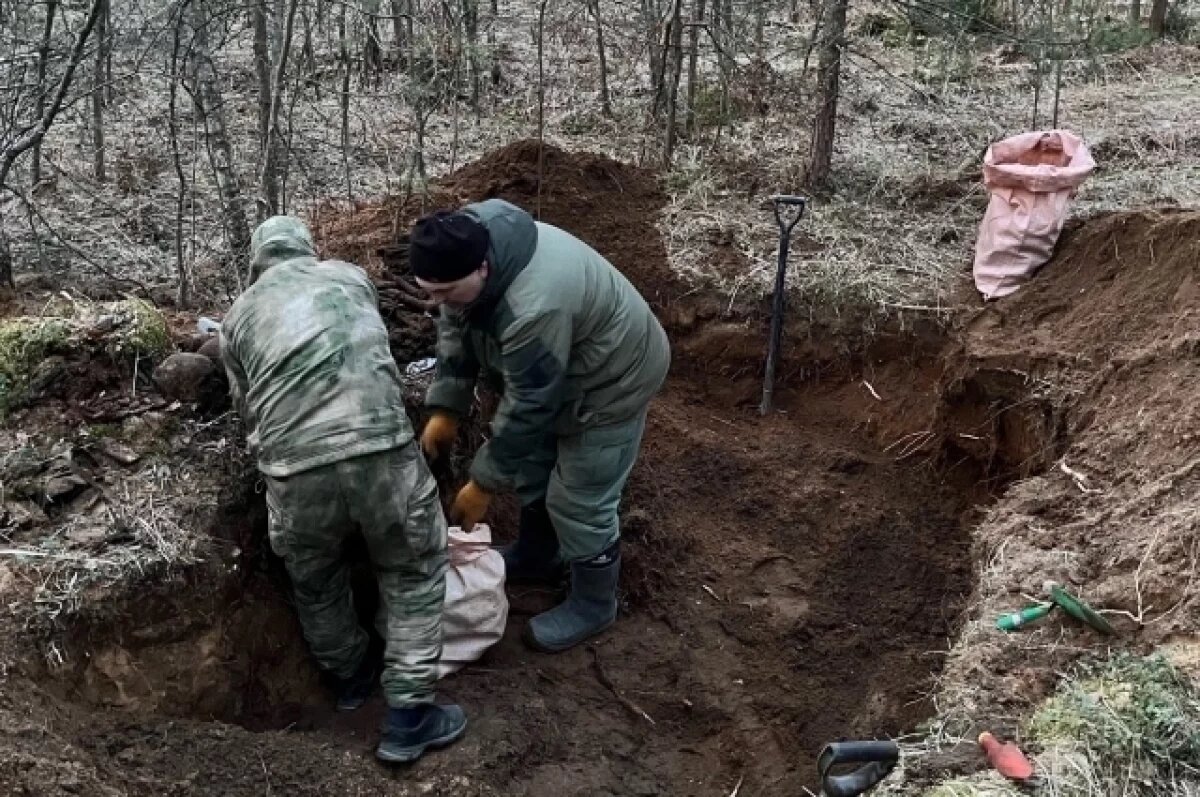    Под Тверью поисковики нашли неучтенные санитарные захоронения