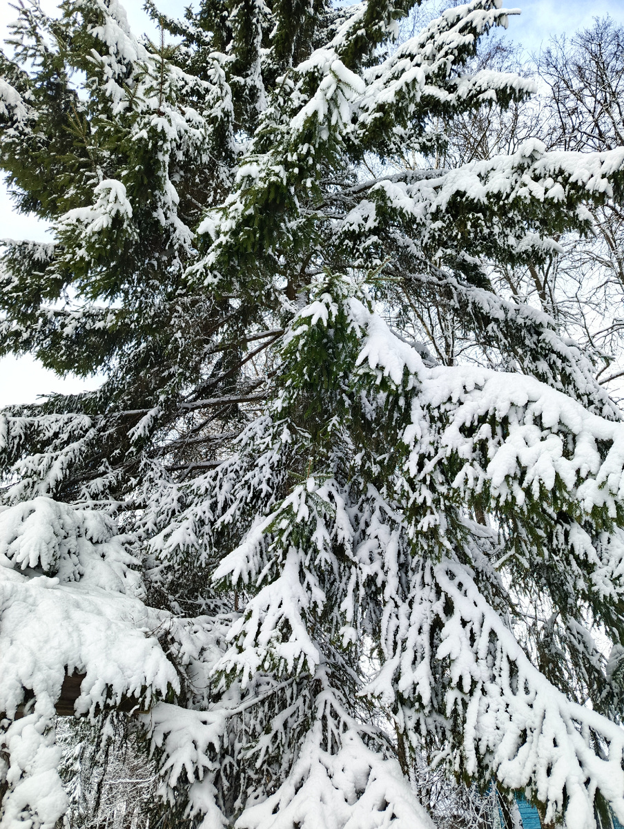 Сегодня так. Новый год 🎄🎄🎄 в 🤔апреле