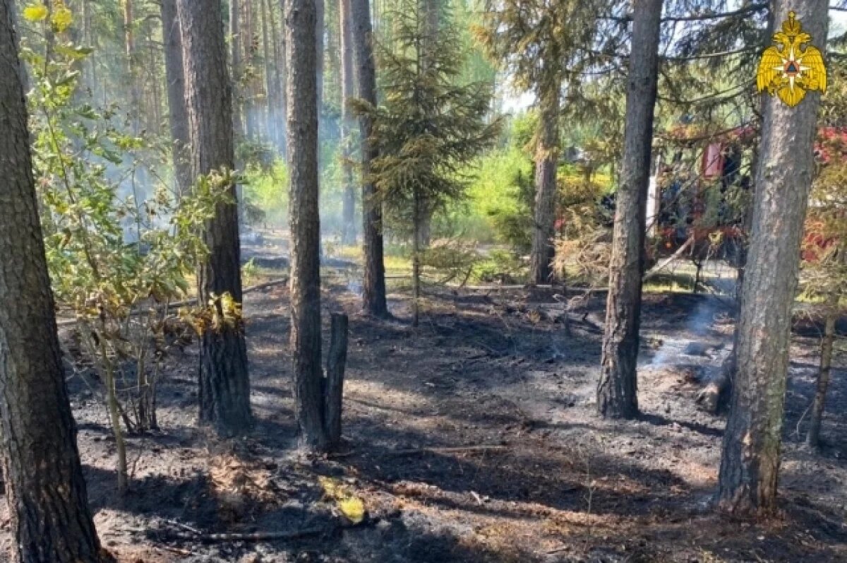    В Твери и Калининском округе установлен особый противопожарный режим
