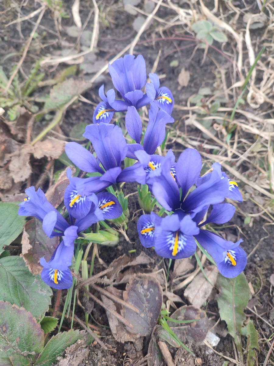 Поделиться мыслями.