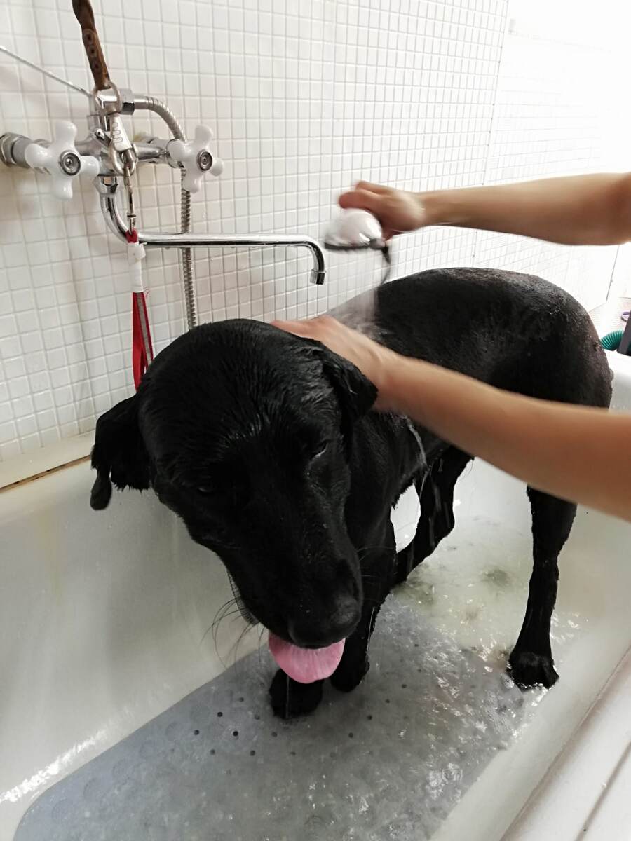 Мыться то я не боюсь...