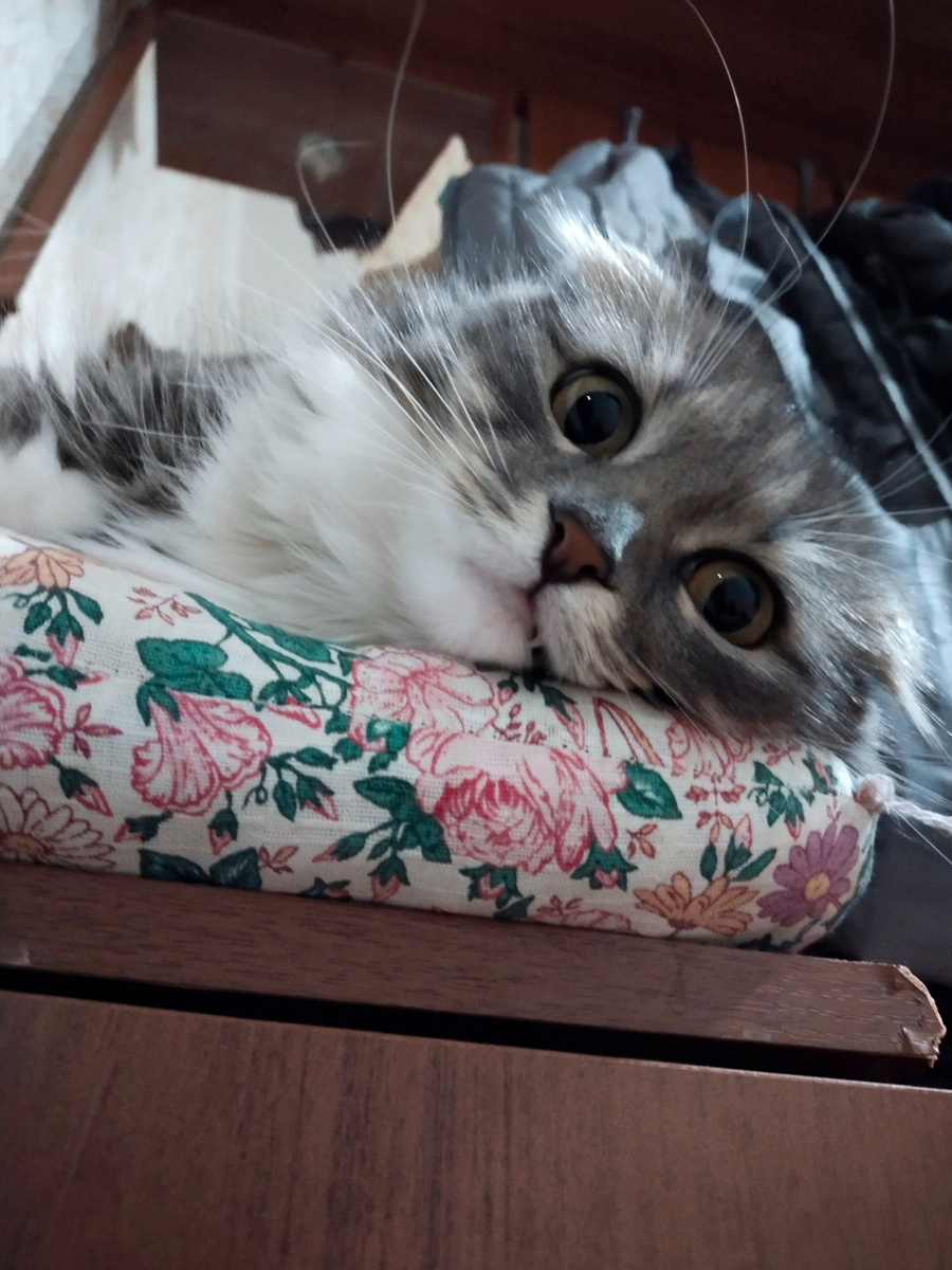 Забастовковая! Урр!