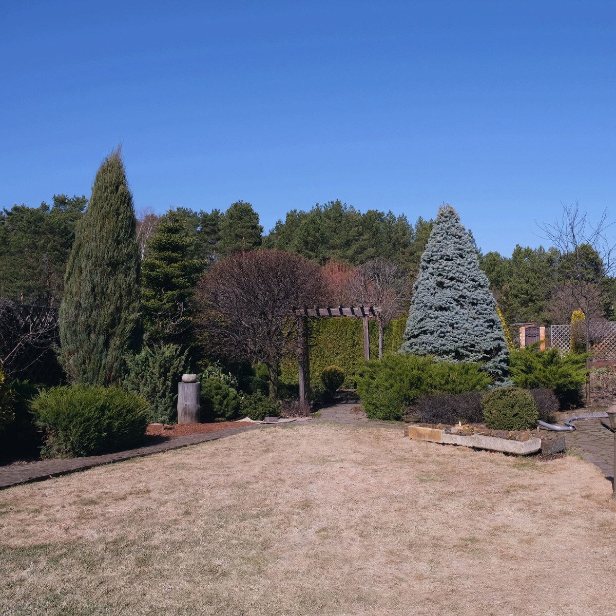 Общий вид на сад