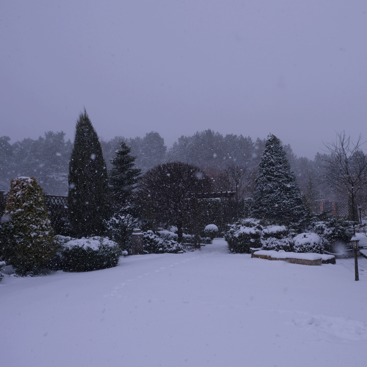 Зимний вид на сад