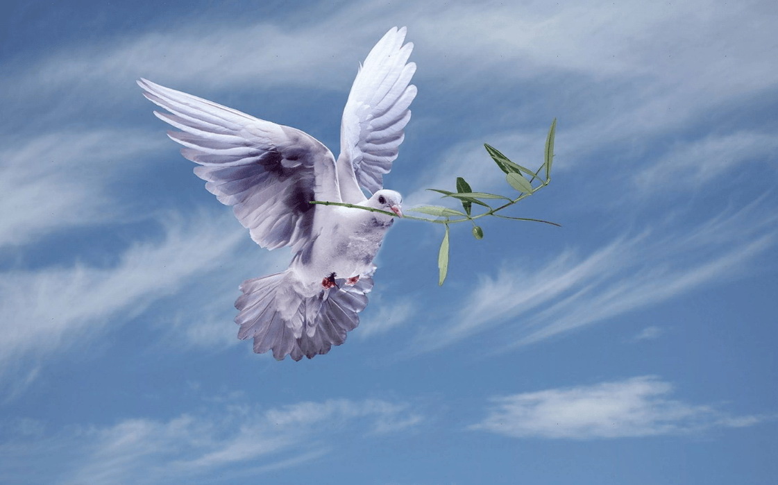 фото из открытых источников интернета