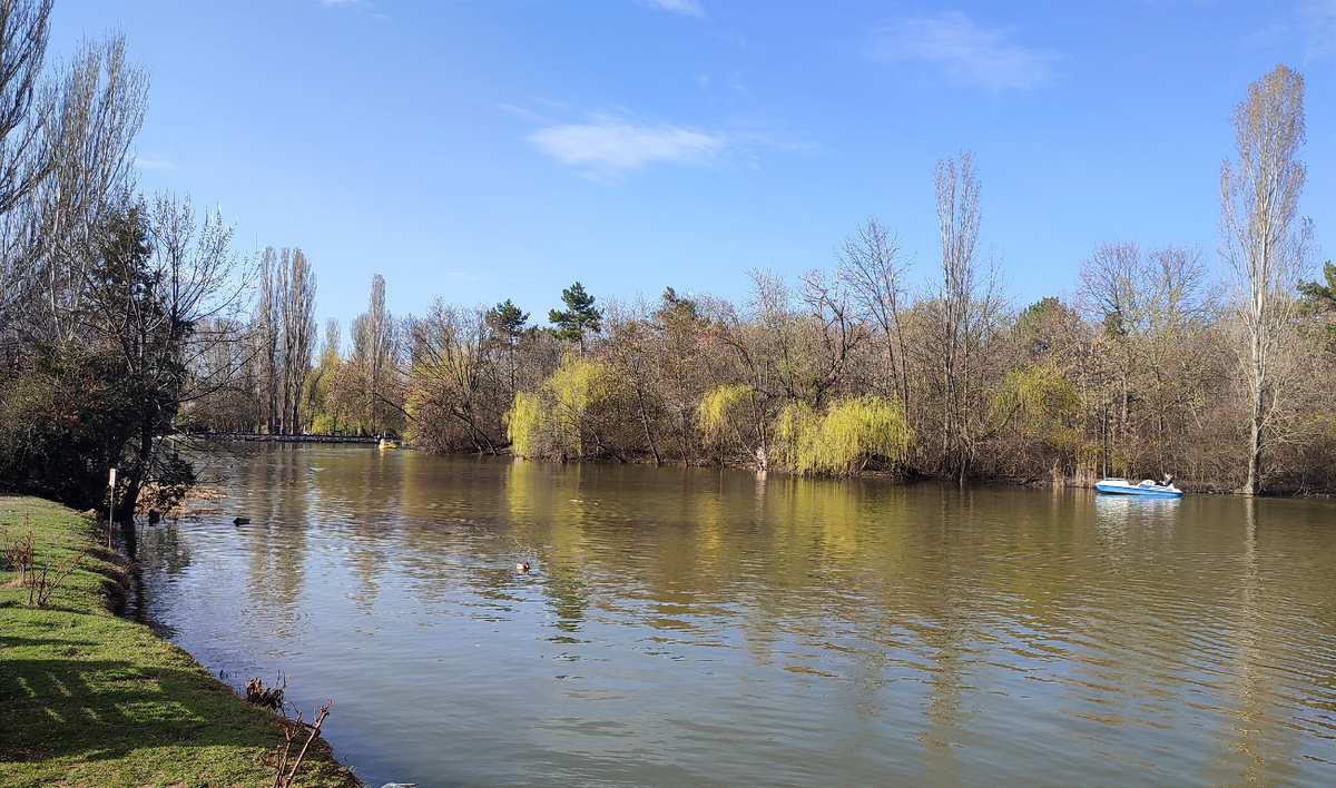 Парк культуры и отдыха ©ElenKa, 2025