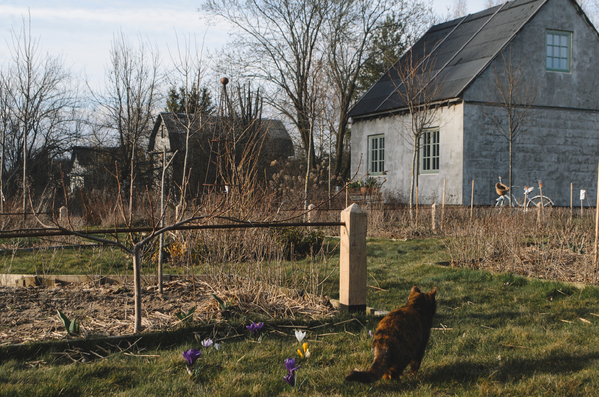 Сад Тилия (Беларусь, Минская область)