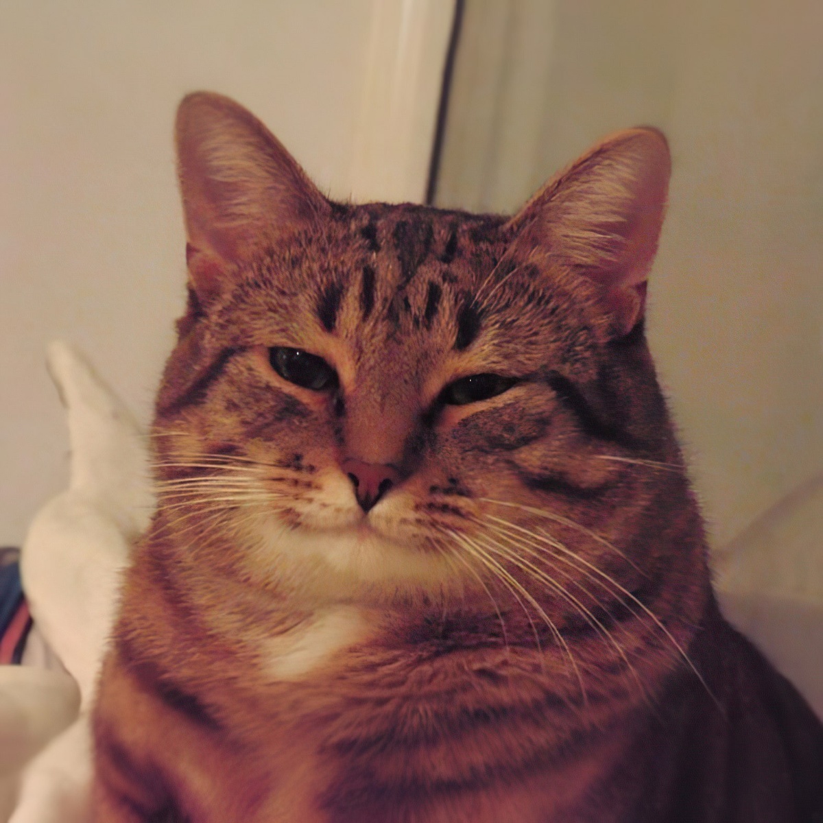 Это мое выражение радости, что вышла 6 серия