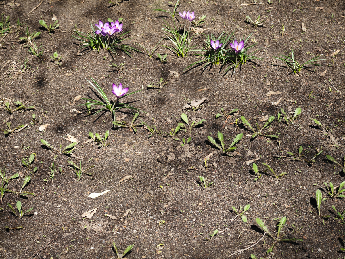 Фото автора канала 