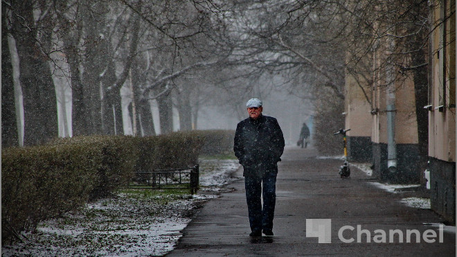 Фото: Анастасия Илюшина / ЛенТВ24