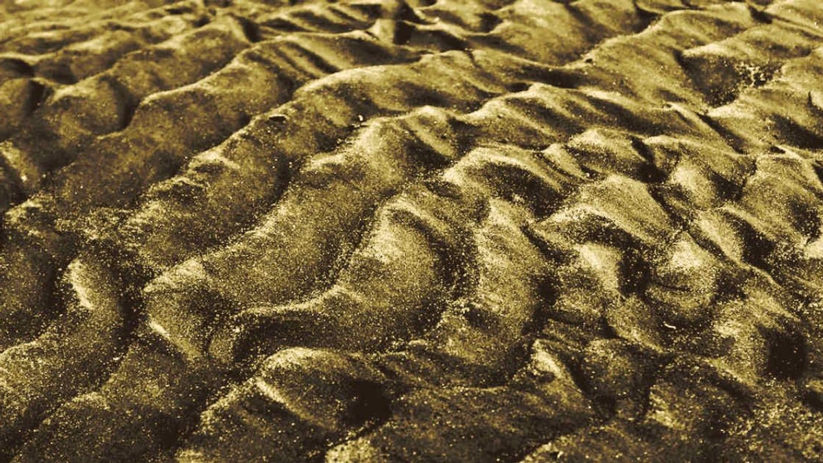 Фото: Adrien Olichon / Pexels 