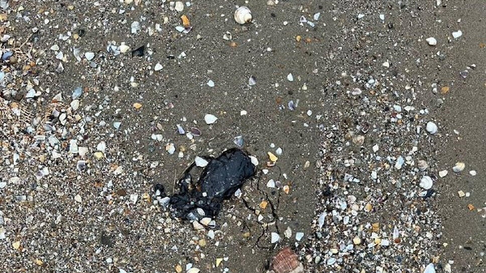 Фото: Оперативный штаб Краснодарского края