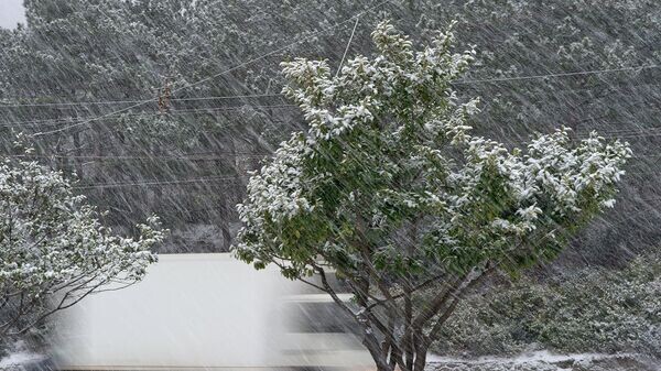    © РИА Новости . Сергей Мальгавко