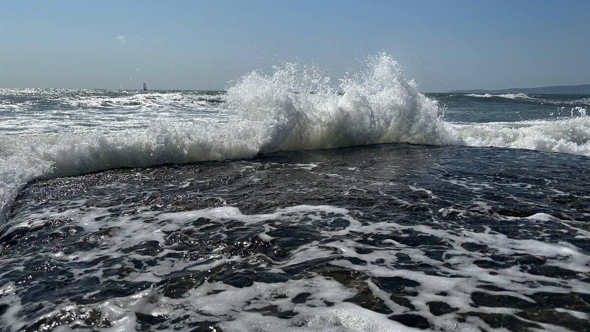    Фото: телеканал «Краснодар»