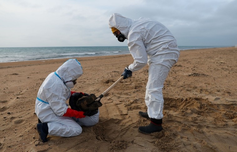    Алексей Белкин/NEWS.ru