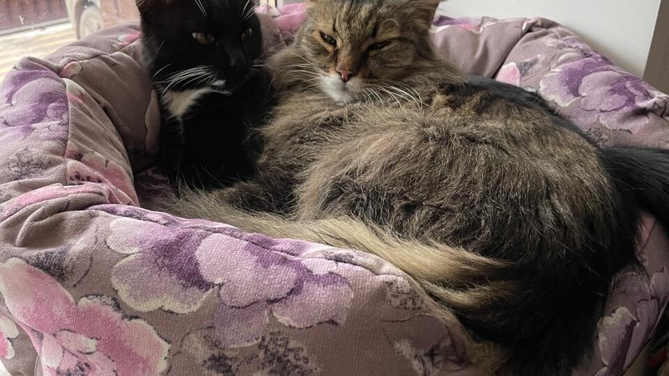 Просто заметка без лишних слов