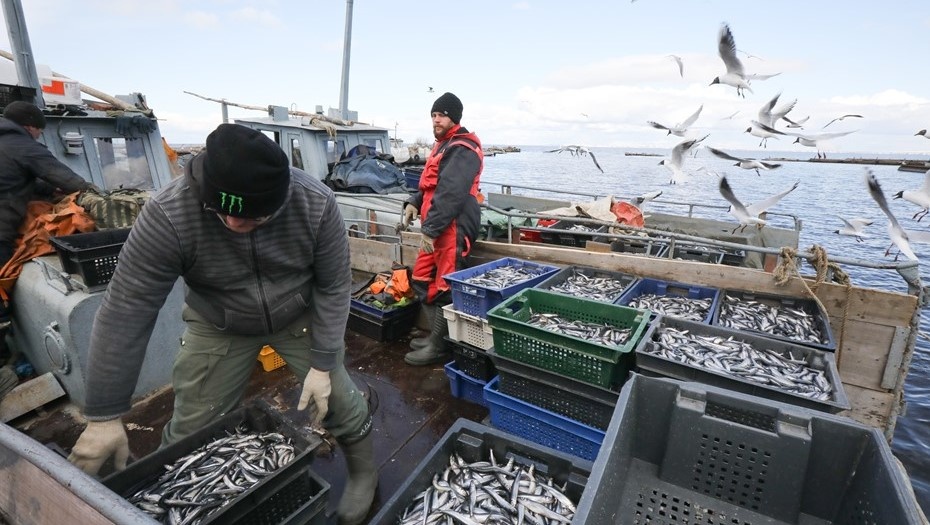    Автор фото: Лидия Верещагина/ДП