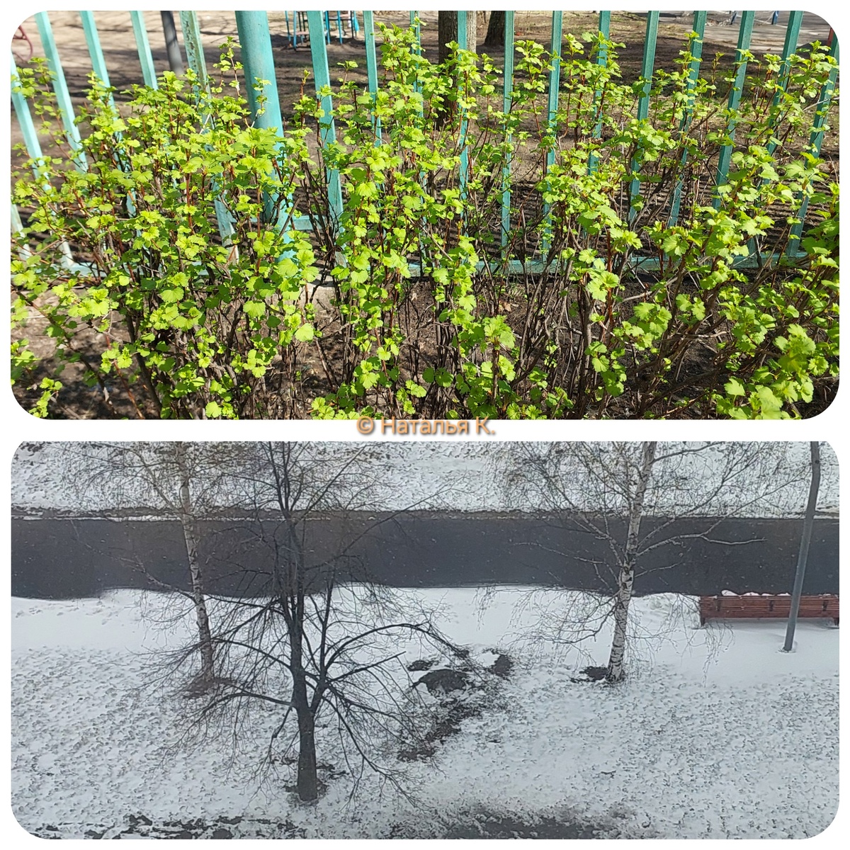 Фото автора канала