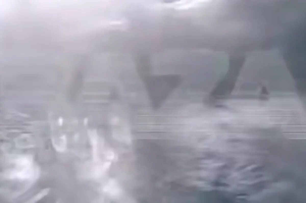    Прокуратура заинтересовалась нападением собак на девочек в Пермском крае