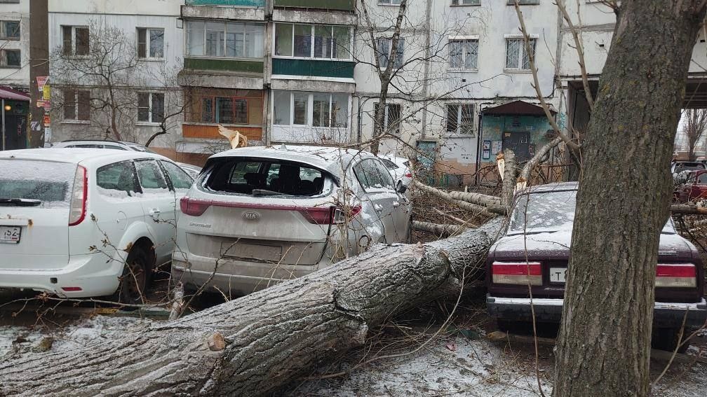    В момента происшествия никого не рядом, к счастью, не было