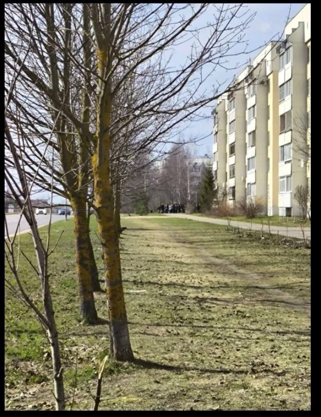 "Скажи спасибо, что мы вас не зарезали"