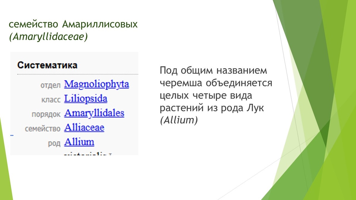 здесь и далее коллажи автора