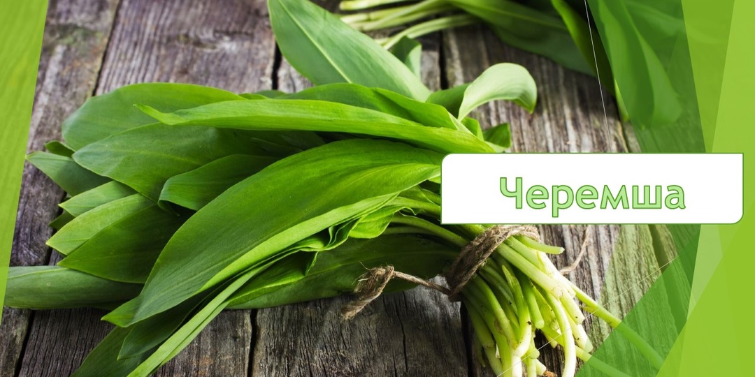 Про черемшу