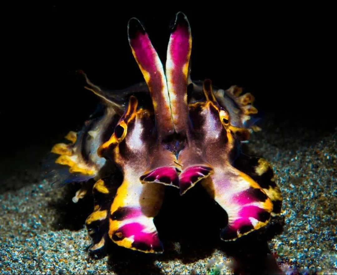 Крош тебе ведь говорили ,что наркотики до добра не доводят...