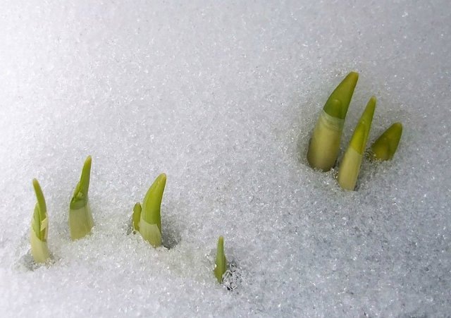 фото с просторов тырнета