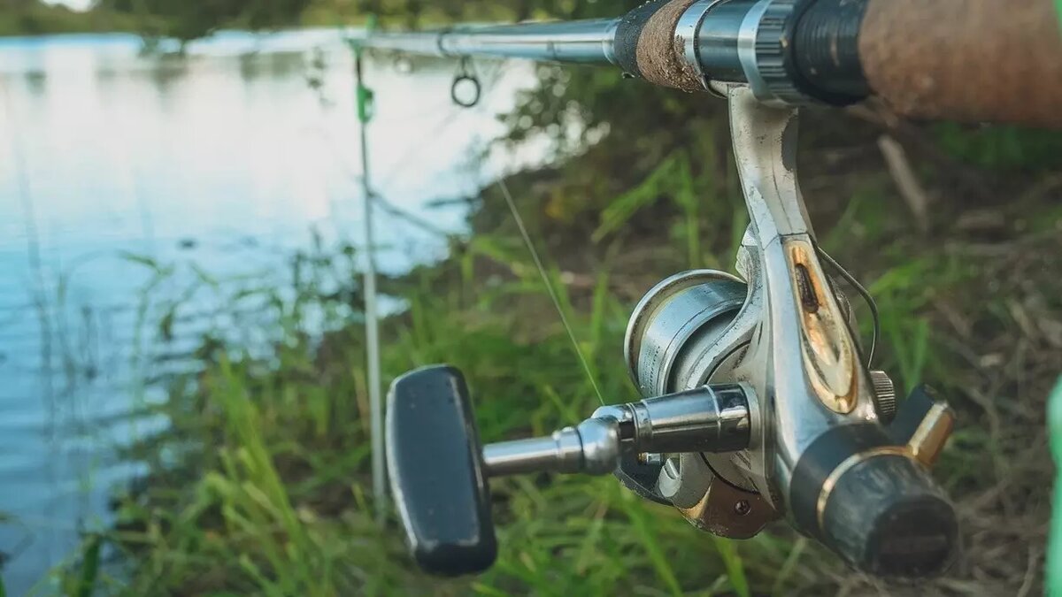 Рыбакам приготовиться: правительство вышло на тропу войны с браконьерами. Источник: 1MI