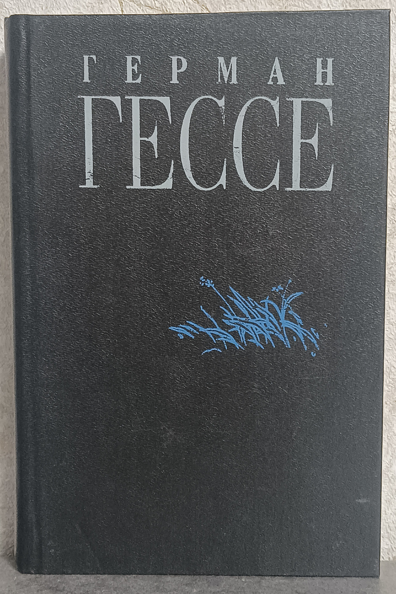 Перевод с немецкого В. Седельника, Вс. Розанова, С. Шлапоберской